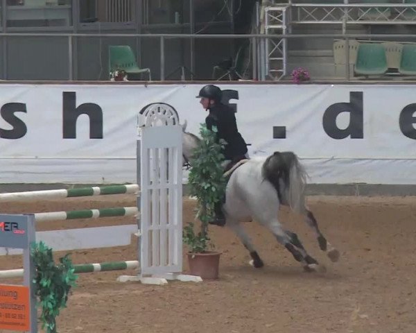 Reitturnier Kreuth 2018