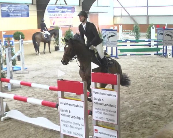 Reitturnier Viernheim 2018