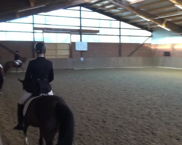 Reitturnier Lembeck 2018