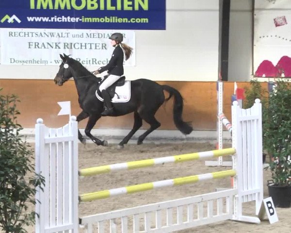 Reitturnier Viernheim 2018