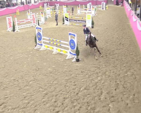 Reitturnier Vlotho-Exter 2018
