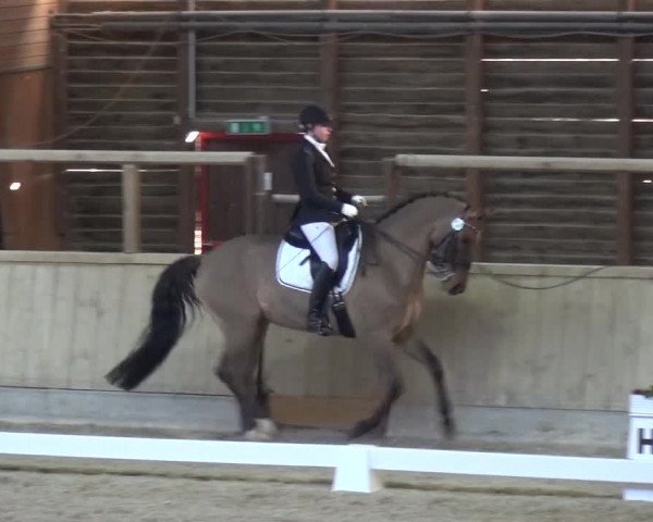 Reitturnier Heidelberg-Kirchheim 2018