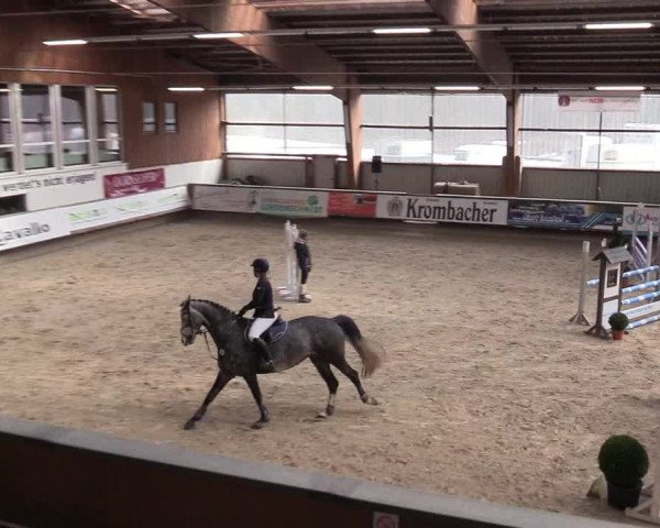 Reitturnier Kreuztal 2018