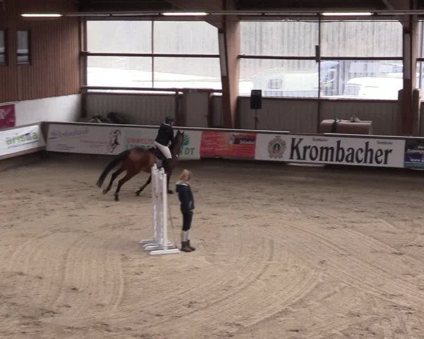 Reitturnier Kreuztal 2018