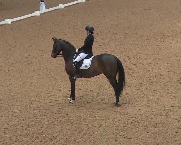 Reitturnier Kreuth 2018