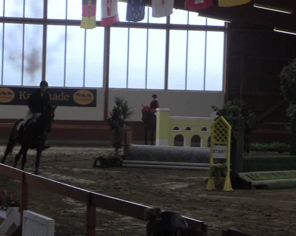 Reitturnier Warendorf-Freckenhorst 2018