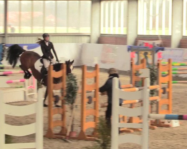 Reitturnier Greven 2018