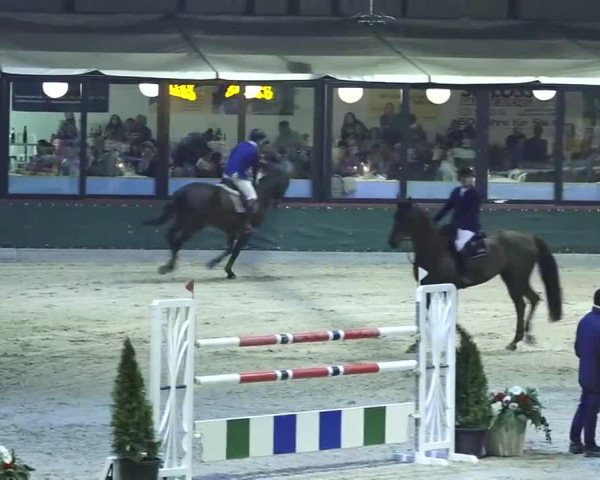 Hallenspringen Oberriet 2018