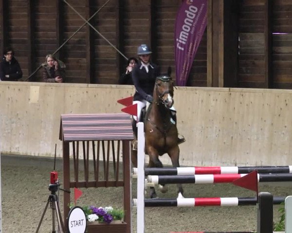 Reitturnier Mannheim-Neckarau 2018