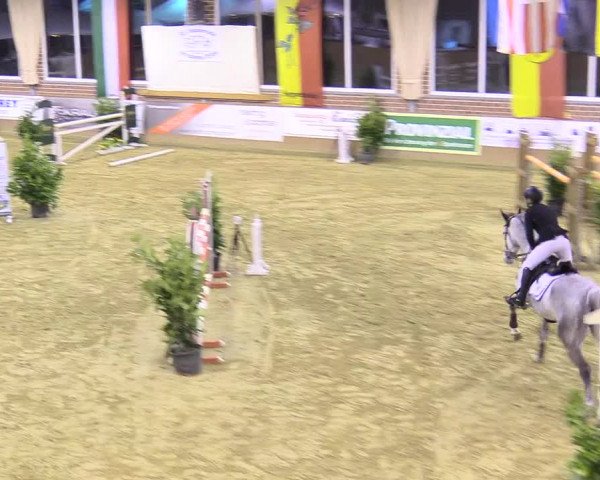 Reitturnier Seppenrade 2018