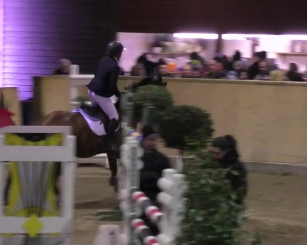 Reitturnier Mannheim-Neckarau 2018