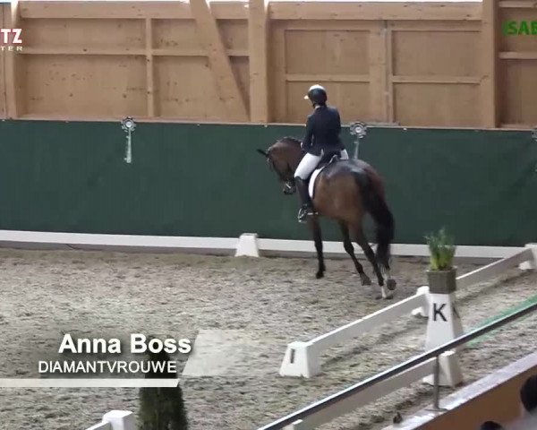 Horsepark Dressage Masters 2018