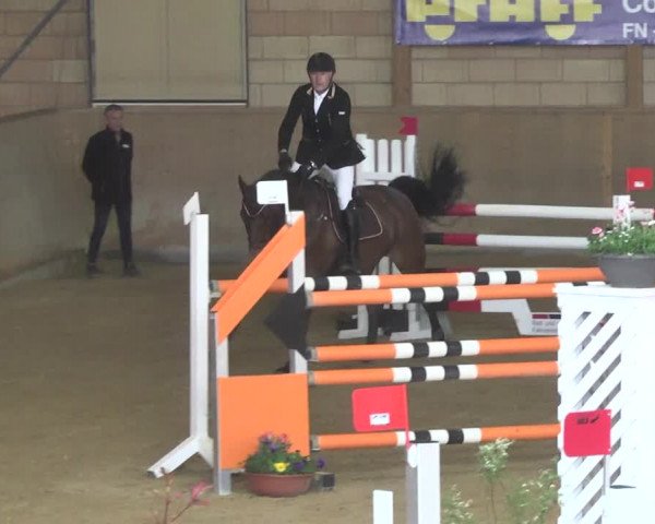 Reitturnier Friedrichshafen - Ailingen 2018