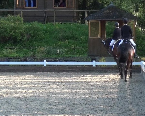 Reitturnier Mettmann - Reitanlage Löckenhoff 2018