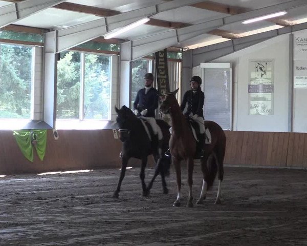 Reitturnier Dohren 2018
