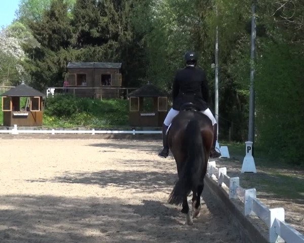 Reitturnier Mettmann - Reitanlage Löckenhoff 2018