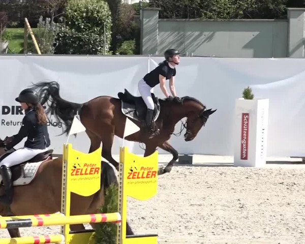 Reitturnier Horn 2018