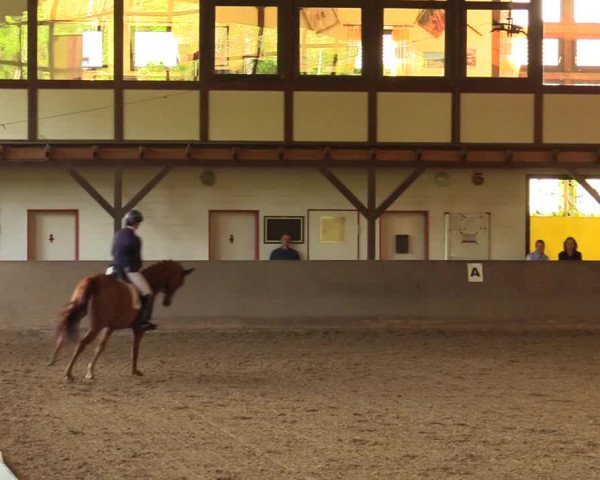 Reitturnier Kamen 2018