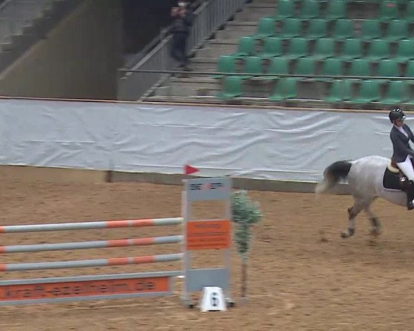 Springturnier Kreuth 2022