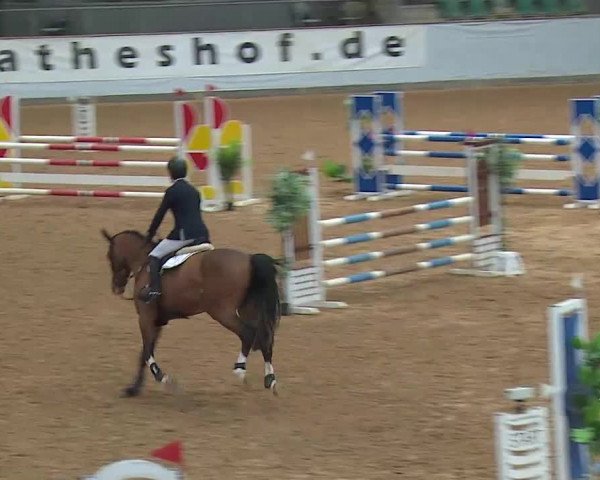Springturnier Kreuth 2022
