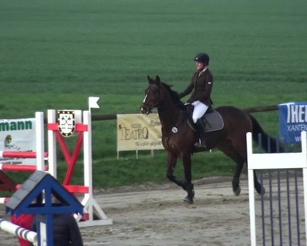 Reitturnier Xanten - Moermter 2018