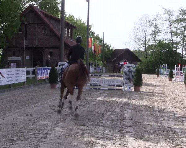 Reitturnier Nienberge 2018