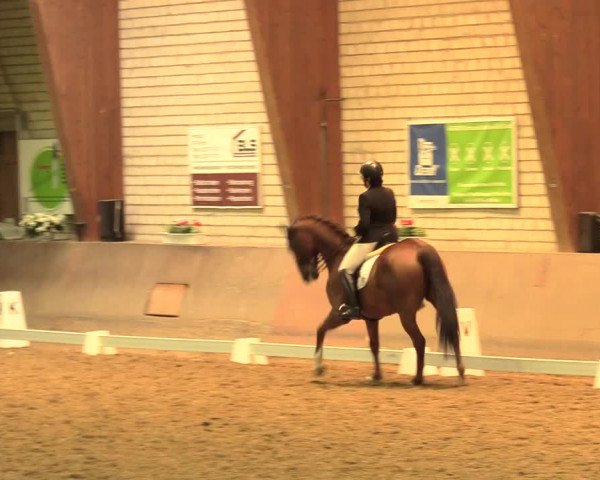 Reitturnier Kamen 2018