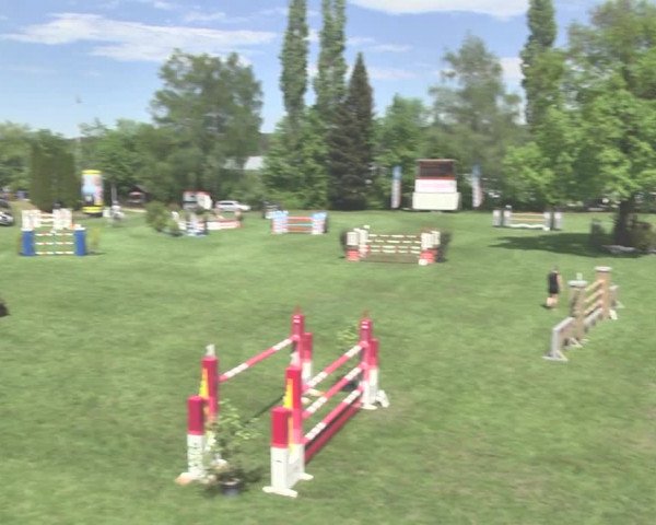 Reitturnier Uster 2018