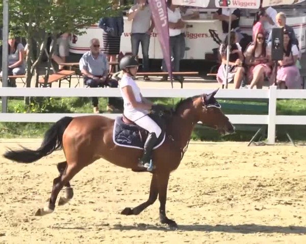 Reitturnier Leutkirch-Diepoldshofen 2018