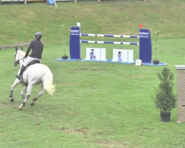 Reitturnier Uster 2018