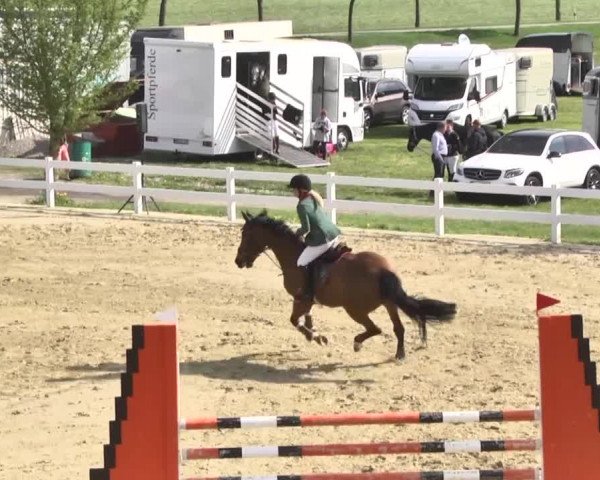 Reitturnier Leutkirch-Diepoldshofen 2018