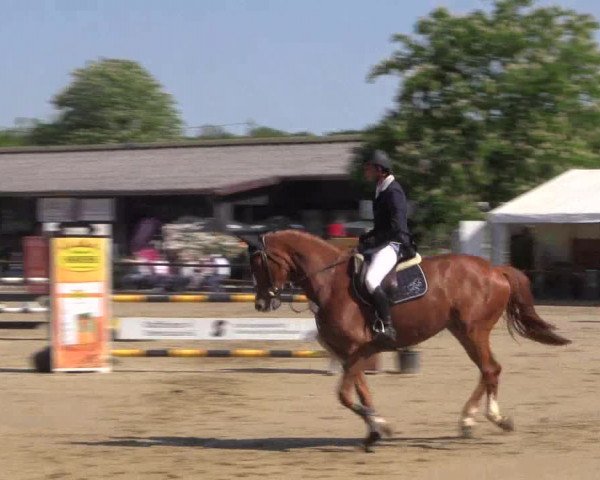 Reitturnier Havixbeck 2018