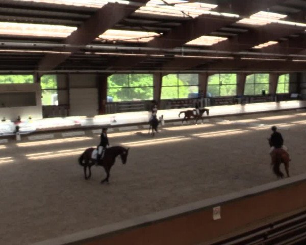 Reitturnier Kreuztal 2018