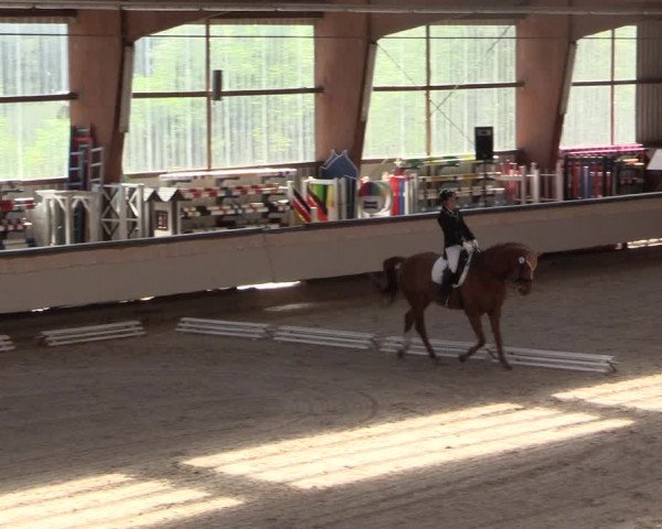 Reitturnier Kreuztal 2018