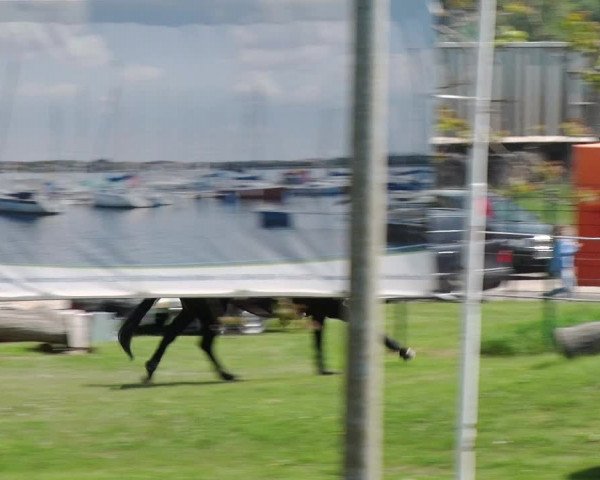 Greppiner Derby 2018