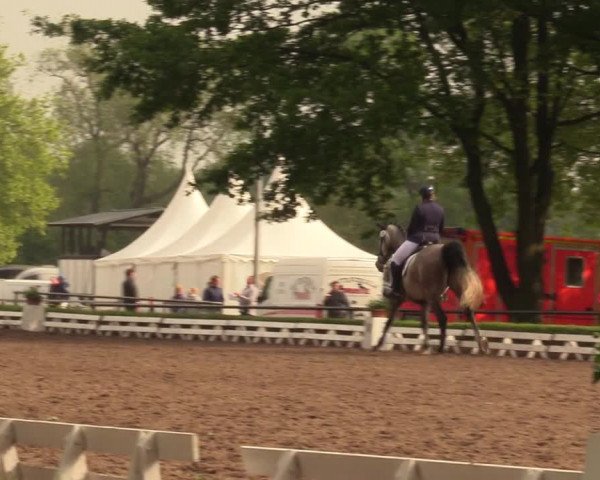 Reitturnier Hamm-Rhynern 2018
