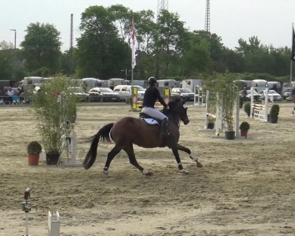 Reitturnier Ratingen-Lintorf 2018
