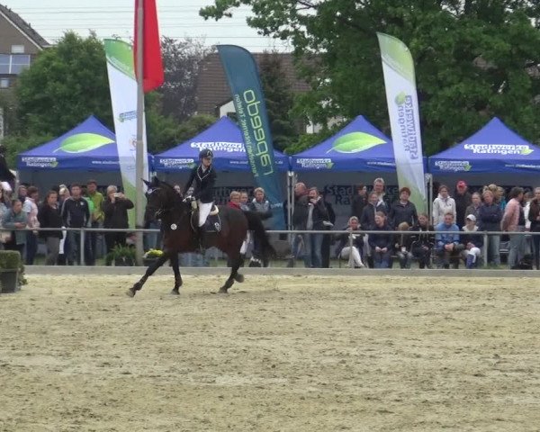 Reitturnier Ratingen-Lintorf 2018