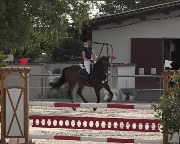 Reitturnier Achern 2018