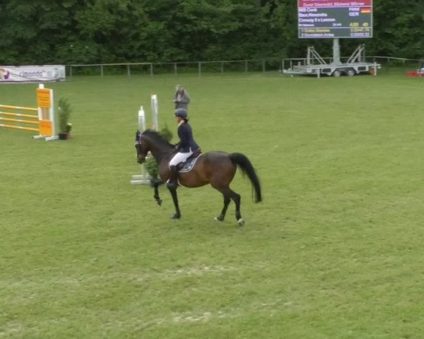 Reitturnier Jettingen 2018