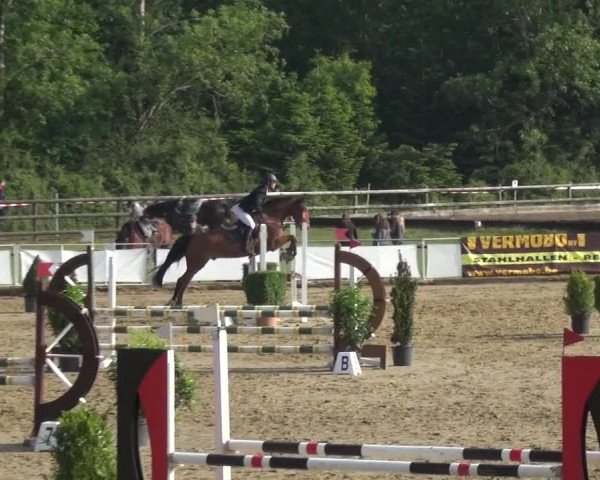 Reitturnier Frechen-Grefrath - Sonnenhof 2018