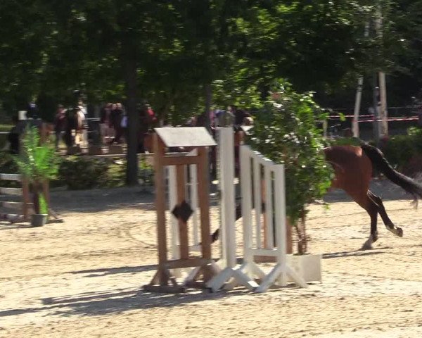 Pfingssturnier Bochum-Nord 2018