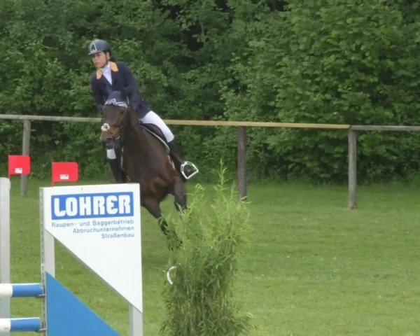 Reitturnier Jettingen 2018