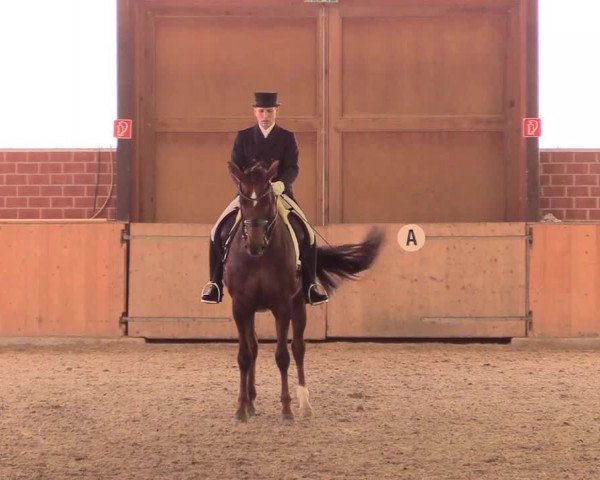 Reitturnier Iserlohn-Kalthof 2018
