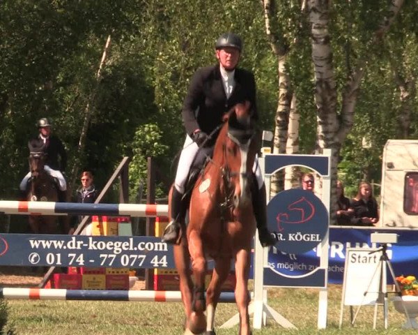 Reitturnier Kreuzkrug 2018