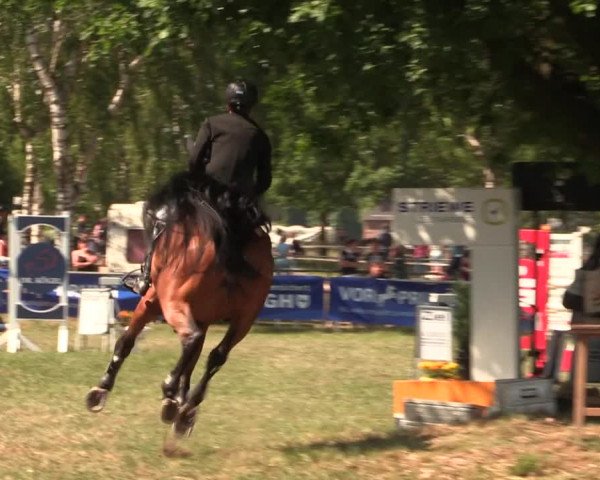Reitturnier Kreuzkrug 2018