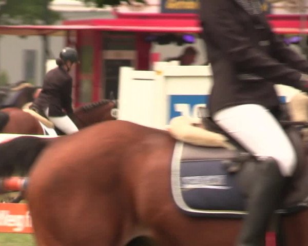 Reitturnier Kreuzkrug 2018