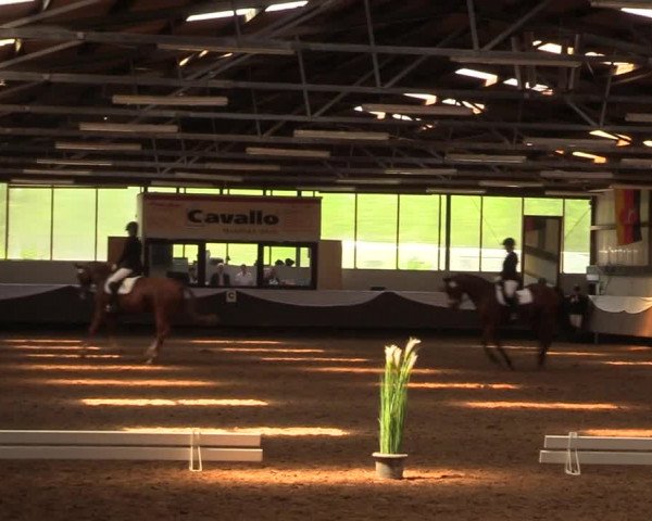 Pfingssturnier Bochum-Nord 2018