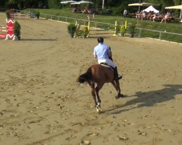 Reitturnier Ladenburg 2018