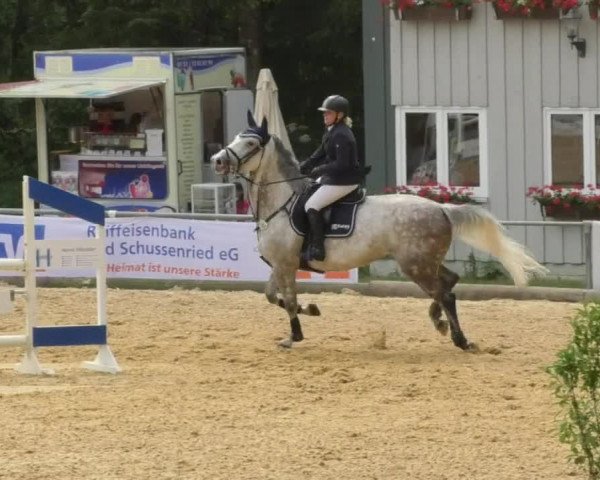 Reitturnier Bad Schussenried 2018